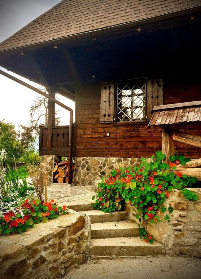 Садиба Остра Shcherbovets エクステリア 写真